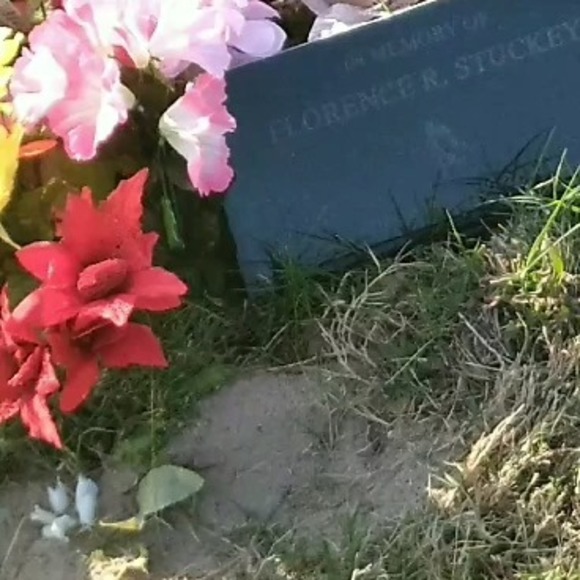 melissa_stuckey
